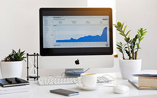 狗子28-半岛体育：把热爱变成日常的运动生活方式